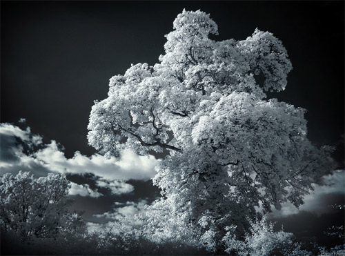solid foam infrared photo